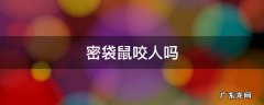 密袋鼠咬了有毒吗 密袋鼠咬人吗