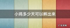 小鸡多少天能孵出 小鸡多少天可以孵出来