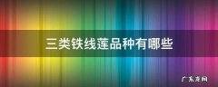 三类铁线莲品种大全 三类铁线莲品种有哪些