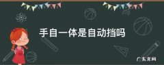 手自一体是自动挡吗 九档手自一体是自动挡吗