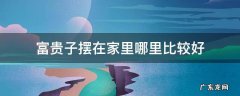 富贵子摆在家里哪里比较好 富贵子摆放家中什么位置好