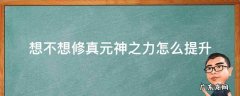 想不想修真元神之力怎么提升等级 想不想修真元神之力怎么提升