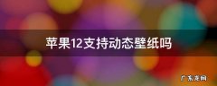 苹果12能使用动态壁纸吗 苹果12支持动态壁纸吗