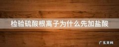 检验硫酸根离子为什么先加盐酸酸化 检验硫酸根离子为什么先加盐酸