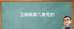 卫嬿婉第几集死的 卫嬿婉几集上线