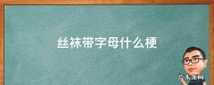 丝袜带字母什么梗
