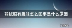 羽绒服有腥臭味是什么原因 羽绒服有腥味怎么回事是什么原因