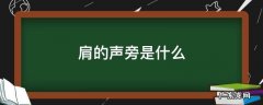 肩的声旁是什么 肩膀是什么