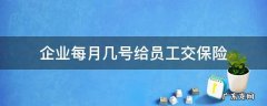 公司每月几号给员工交保险 企业每月几号给员工交保险