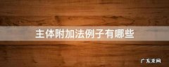主体附加法例子有哪些 主体附加法例子有哪些,功能有哪些