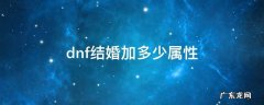 dnf结婚属性提升多大 dnf结婚加多少属性