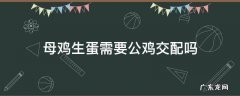 母鸡生蛋需要公鸡交配吗 母鸡下蛋需要公鸡吗