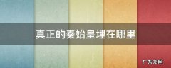 真正的秦始皇埋在哪里 秦始皇被埋在哪