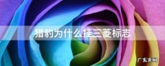 猎豹为什么挂三菱标志 猎豹为什么是三菱标志