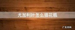 尤加利叶怎么插花瓶 尤加利叶怎么插花瓶好看