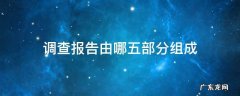 调查报告由哪五部分组成 调查报告由哪五部分组成?