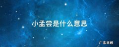 小孟尝君是谁 小孟尝是什么意思