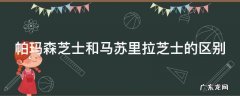 帕玛森芝士和马苏里拉芝士的区别 帕玛森芝士拉丝吗