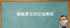 橄榄果又叫甘油果吗 油甘果属于水果吗