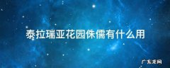 泰拉瑞亚花园侏儒有什么用 泰拉瑞亚侏儒怎么捕捉