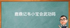 鹿鼎记韦小宝会武功吗 鹿鼎记原著韦小宝会功夫吗