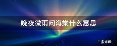 晚夜微雨问海棠意义 晚夜微雨问海棠什么意思