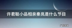 许君聪小品相亲秦岚是什么综艺节目 许君聪小品相亲秦岚是什么节目