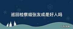《巡回检察组》张友成 巡回检察组张友成是好人吗