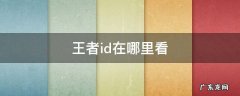 王者id在哪里看 王者在哪看ID