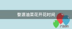 婺源油菜花开的时间 婺源油菜花开花时间