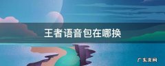 王者语音包在哪里更换? 王者语音包在哪换
