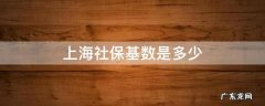 2022上海社保基数是多少 上海社保基数是多少