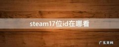 steam17位id在哪看 steam17位id哪里看
