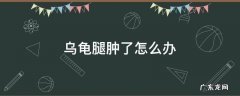 乌龟的后腿肿了怎么办 乌龟腿肿了怎么办