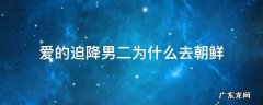 爱的迫降男二为什么去北朝鲜 爱的迫降男二为什么去朝鲜