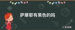 萨摩耶有黑色的吗 黑色萨摩耶是怎么回事