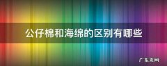 公仔棉和海绵的区别有哪些 海绵与海棉有什么区别