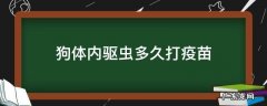 狗体内驱虫多久打疫苗 狗狗体内驱虫多久打疫苗