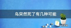 鸟会突然死吗 鸟突然死了有几种可能