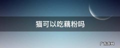 猫可以吃藕粉吗 藕粉猫咪可以吃吗