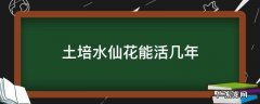 土养水仙花可以多年生吗 土培水仙花能活几年