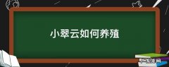 小翠云家里能养吗 小翠云如何养殖